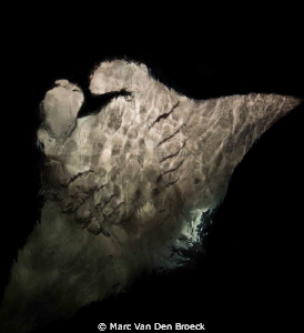 from the surface by Marc Van Den Broeck 